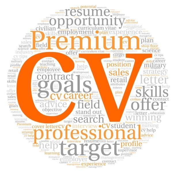 resume and cv writing service